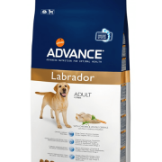 Advance Labrador