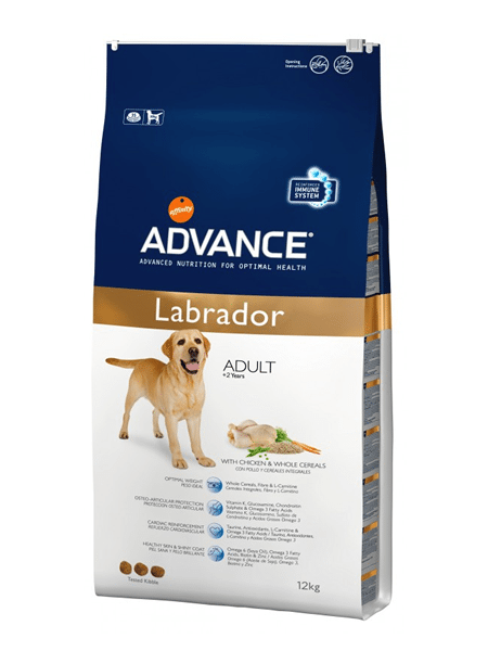 Advance Labrador