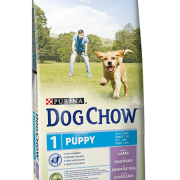 Dog Chow Puppy Borrego