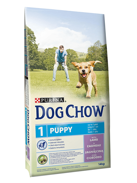 Dog Chow Puppy Borrego