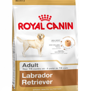 Royal Canin Labrador Adult