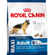 Royal Canin Maxi Adult 5+