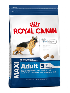 Royal Canin Maxi Adult 5+