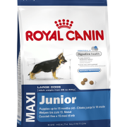 Royal Canin Maxi Junior