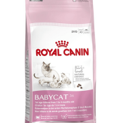 Rpyal Canin Mother & Babycat