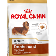 Royal Canin Teckel Adult